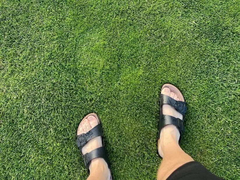 Velholdt græsplæne