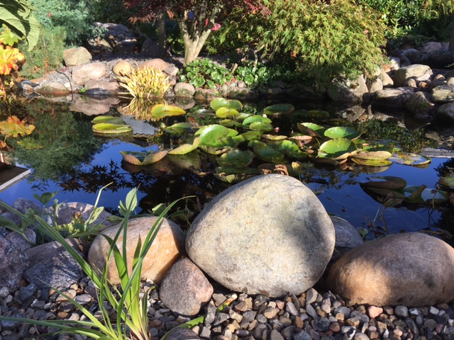 Kampesten der giver et rustikt udtryk i en japansk have ved siden af en lille dam.