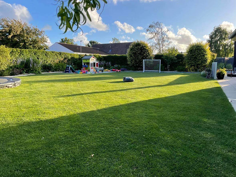 Velholdt græsplæne med robotplæneklipper