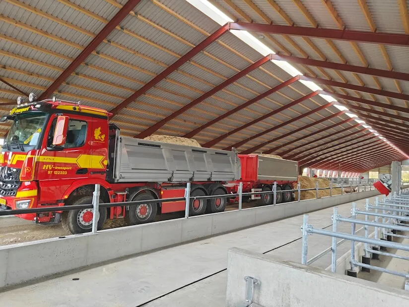 Lastbil fra HV-transport tipper blødt sand i en kostald med sengebåse