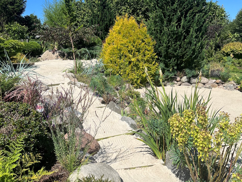 Flotte strandplanter plantet hjemme i haven