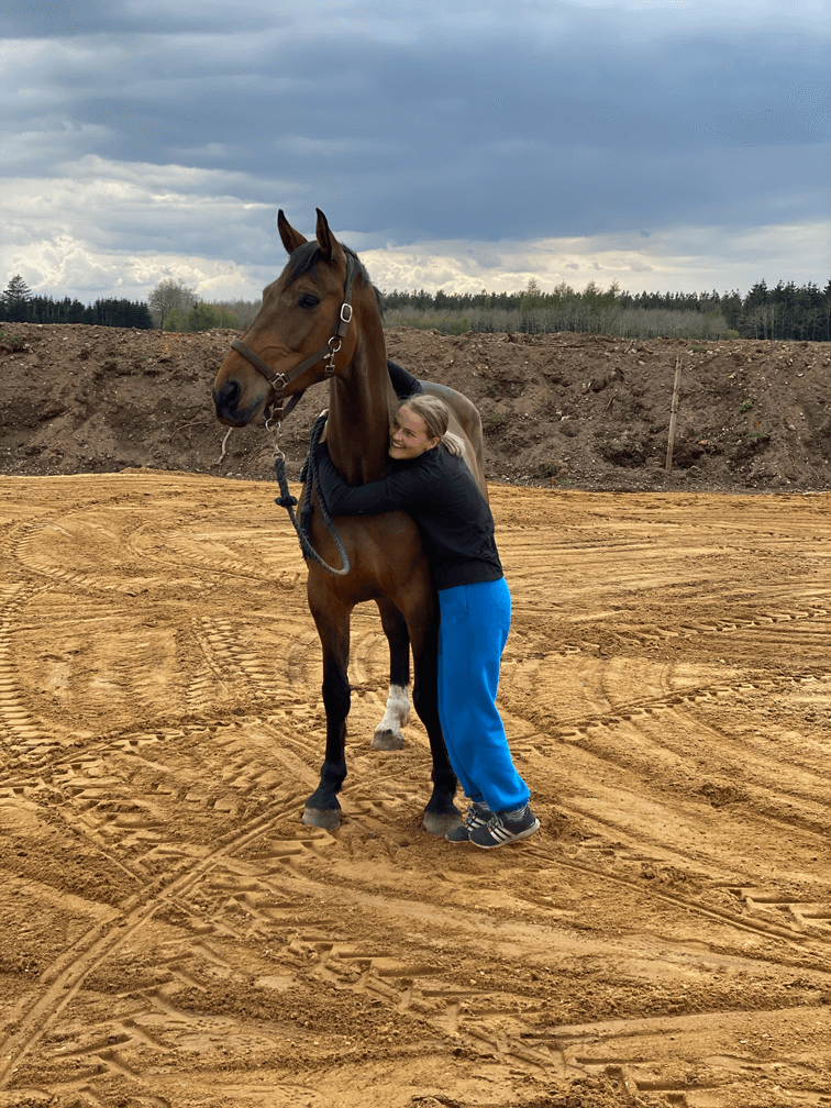 pige med hest på ridebane
